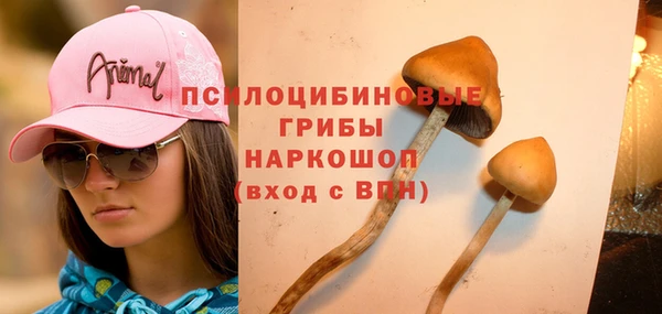 гидропоника Козловка