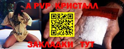 прущие грибы Камышлов