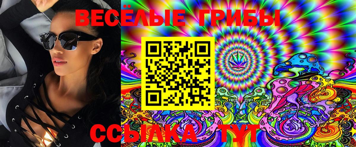 где найти   Владикавказ  Псилоцибиновые грибы мицелий  Псилоцибиновые грибы MAGIC MUSHROOMS 