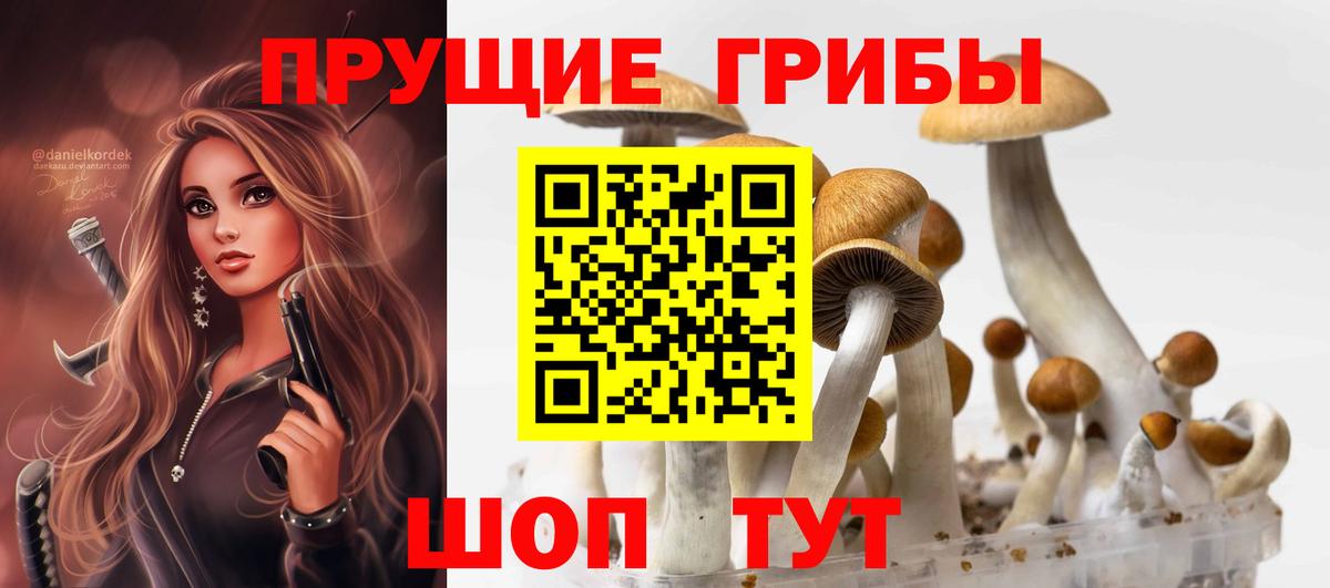 Владикавказ  Псилоцибиновые грибы мухоморы  где найти   Вход с VPN 